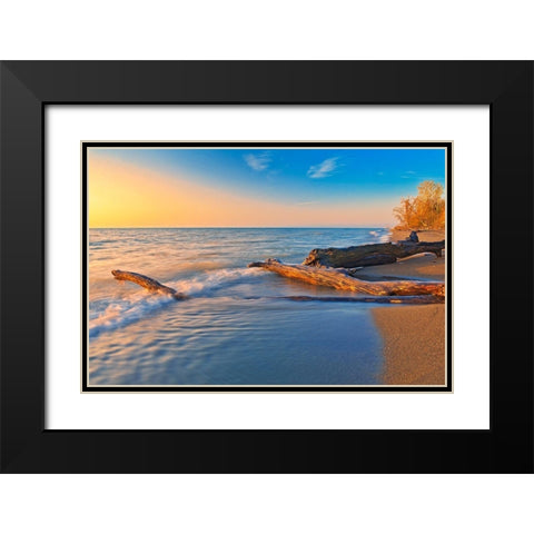 Canada-Ontario-Point Pelee National Park Driftwood on Lake Erie shoreline at sunrise Black Modern Wood Framed Art Print with Double Matting by Jaynes Gallery