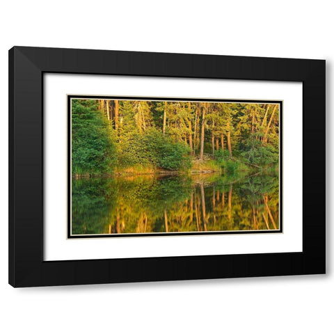 Canada-Ontario Sunset on forest reflected in lake Black Modern Wood Framed Art Print with Double Matting by Jaynes Gallery