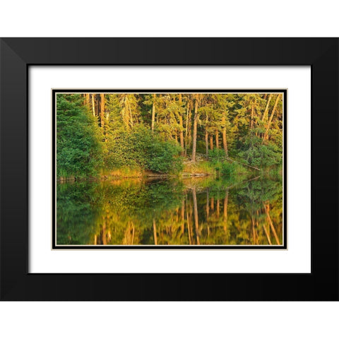 Canada-Ontario Sunset on forest reflected in lake Black Modern Wood Framed Art Print with Double Matting by Jaynes Gallery