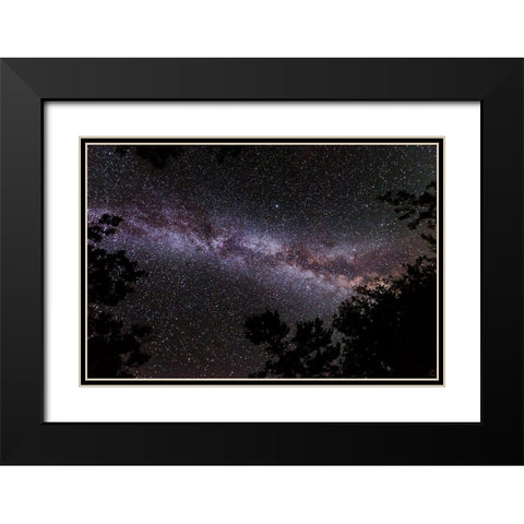 Canada-Ontario-Sioux Narrows Provincial Park-Night sky with Milky Way Black Modern Wood Framed Art Print with Double Matting by Jaynes Gallery