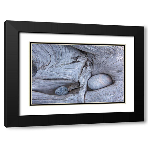 Canada-Ontario-Marathon Rocks in driftwood on Pebble Beach Black Modern Wood Framed Art Print with Double Matting by Jaynes Gallery