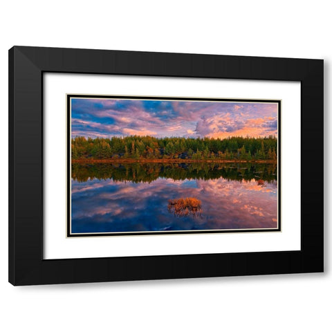 Canada-Ontario-Greater Sudbury Lake grasses and cloud reflections at sunrise Black Modern Wood Framed Art Print with Double Matting by Jaynes Gallery