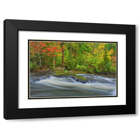 Canada-Ontario Berry Creek landscape Black Modern Wood Framed Art Print with Double Matting by Jaynes Gallery