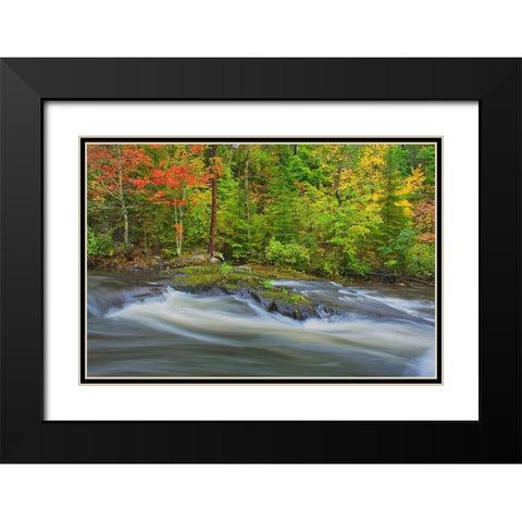 Canada-Ontario Berry Creek landscape Black Modern Wood Framed Art Print with Double Matting by Jaynes Gallery