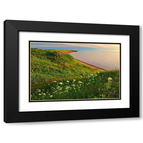 Canada-Prince Edward Island-Campbelton Red sand and bluffs along Northumberland Strait Black Modern Wood Framed Art Print with Double Matting by Jaynes Gallery