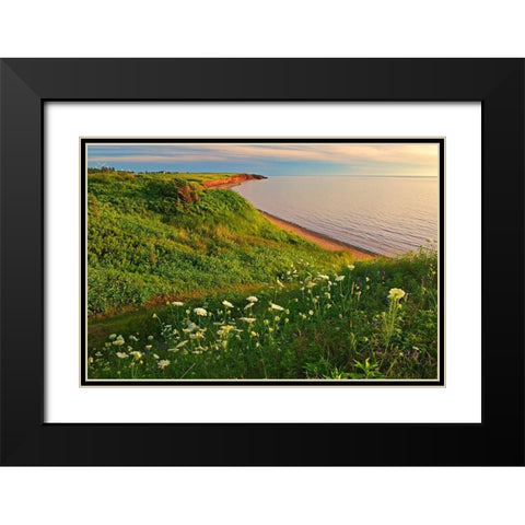 Canada-Prince Edward Island-Campbelton Red sand and bluffs along Northumberland Strait Black Modern Wood Framed Art Print with Double Matting by Jaynes Gallery