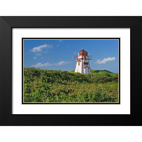 Canada-Prince Edward Island-Covehead Harbour Lighthouse and flowers Black Modern Wood Framed Art Print with Double Matting by Jaynes Gallery