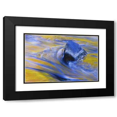 Canada, Quebec Fall colors reflecting on a river Black Modern Wood Framed Art Print with Double Matting by Delisle, Gilles