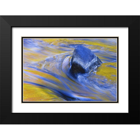 Canada, Quebec Fall colors reflecting on a river Black Modern Wood Framed Art Print with Double Matting by Delisle, Gilles