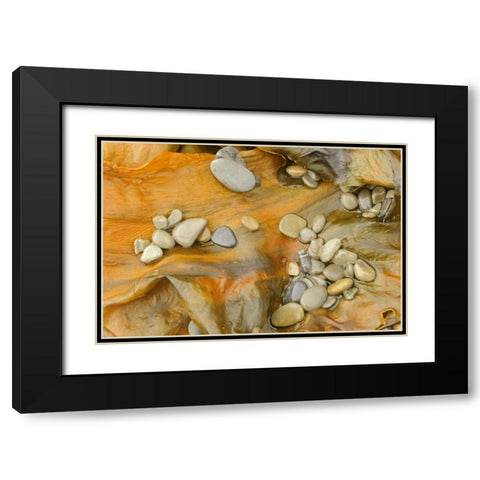 Canada, Quebec, Forillon NP Pebbles on seaweed Black Modern Wood Framed Art Print with Double Matting by Grandmaison, Mike