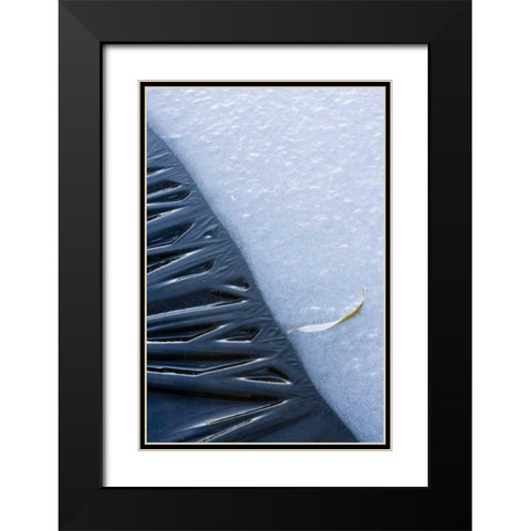 Canada, Quebec, Lakeshore ice Black Modern Wood Framed Art Print with Double Matting by Delisle, Gilles
