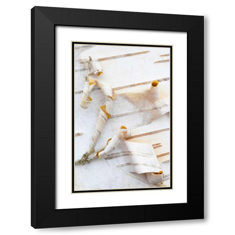 Canada, Mt St-Bruno Park White birch bark detail Black Modern Wood Framed Art Print with Double Matting by Delisle, Gilles