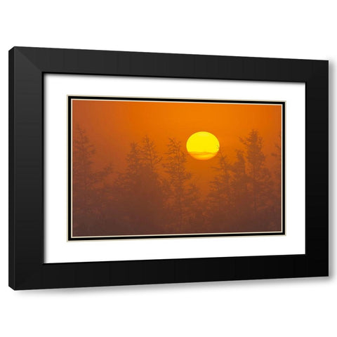 Canada-Quebec-Havre-Saint-Pierre Trees and fog at sunrise Black Modern Wood Framed Art Print with Double Matting by Jaynes Gallery
