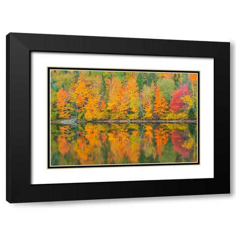 Canada-Quebec-Saint-Mathieu-du-Parc Autumn colors reflected in Lac Trudel Black Modern Wood Framed Art Print with Double Matting by Jaynes Gallery