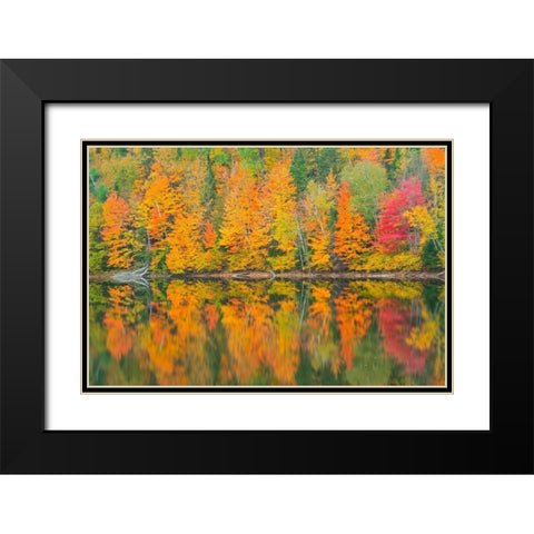 Canada-Quebec-Saint-Mathieu-du-Parc Autumn colors reflected in Lac Trudel Black Modern Wood Framed Art Print with Double Matting by Jaynes Gallery
