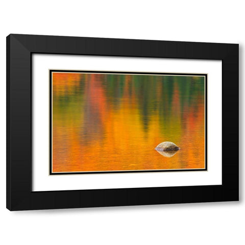 Canada-Quebec-La Mauricie National Park Rock and autumn colors reflected in Lac Wapizagonke Black Modern Wood Framed Art Print with Double Matting by Jaynes Gallery