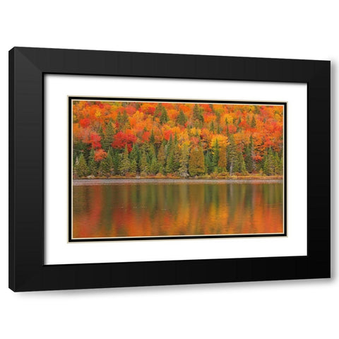 Canada-Quebec-La Mauricie National Park Autumn colors reflected in Lac Ã  Sam Black Modern Wood Framed Art Print with Double Matting by Jaynes Gallery