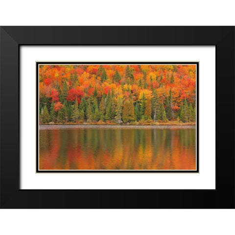 Canada-Quebec-La Mauricie National Park Autumn colors reflected in Lac Ã  Sam Black Modern Wood Framed Art Print with Double Matting by Jaynes Gallery