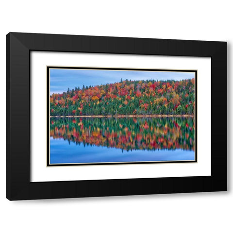 Canada-Quebec-La Mauricie National Park Autumn colors reflected in Lac Modene Black Modern Wood Framed Art Print with Double Matting by Jaynes Gallery
