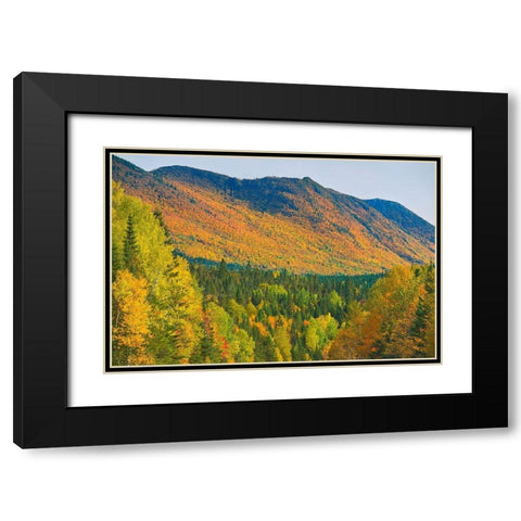 Canada-Quebec-Parc National de la Gaspesie Autumn colors in Chic-Choc Mountains Black Modern Wood Framed Art Print with Double Matting by Jaynes Gallery