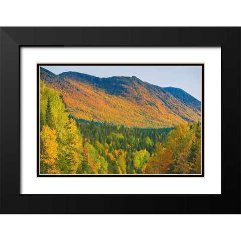 Canada-Quebec-Parc National de la Gaspesie Autumn colors in Chic-Choc Mountains Black Modern Wood Framed Art Print with Double Matting by Jaynes Gallery