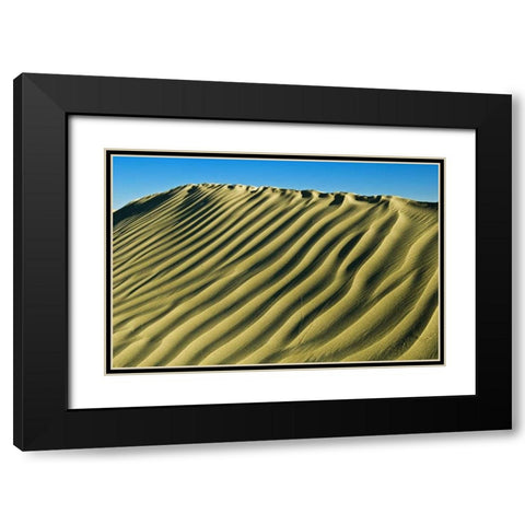 Canada, Great Sand Hills Pattern in sand dunes Black Modern Wood Framed Art Print with Double Matting by Grandmaison, Mike