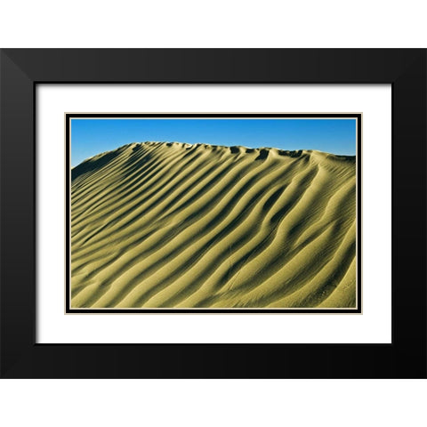 Canada, Great Sand Hills Pattern in sand dunes Black Modern Wood Framed Art Print with Double Matting by Grandmaison, Mike