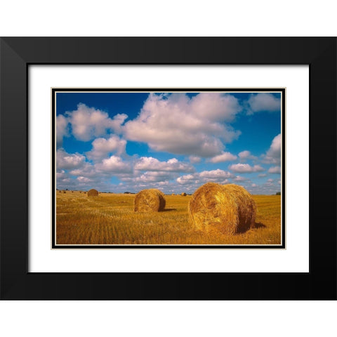 Canada-Saskatchewan-Shellbrook Bale rolls and cumulus clouds on farmland Black Modern Wood Framed Art Print with Double Matting by Jaynes Gallery