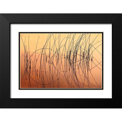 Canada-Saskatchewan-Saskatoon Island Provincial Park Reeds reflect on Saskatoon Lake at sunrise Black Modern Wood Framed Art Print with Double Matting by Jaynes Gallery