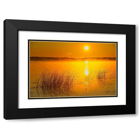 Canada-Saskatchewan-Saskatoon Island Provincial Park Reeds reflect on Saskatoon Lake at sunrise Black Modern Wood Framed Art Print with Double Matting by Jaynes Gallery