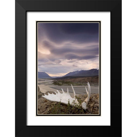 Canada, BC, Yukon, Moose antler and landscape Black Modern Wood Framed Art Print with Double Matting by Paulson, Don