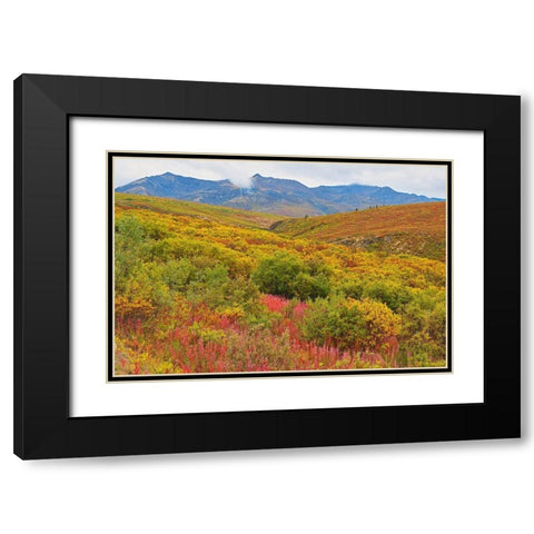 Canada-Yukon Autumn-colored hills and fog Black Modern Wood Framed Art Print with Double Matting by Jaynes Gallery