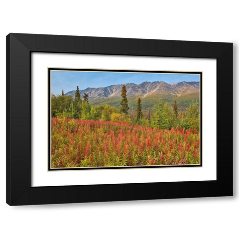Canada-Yukon-Kluane National Park St Elias Mountains and forest landscape Black Modern Wood Framed Art Print with Double Matting by Jaynes Gallery