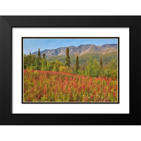 Canada-Yukon-Kluane National Park St Elias Mountains and forest landscape Black Modern Wood Framed Art Print with Double Matting by Jaynes Gallery