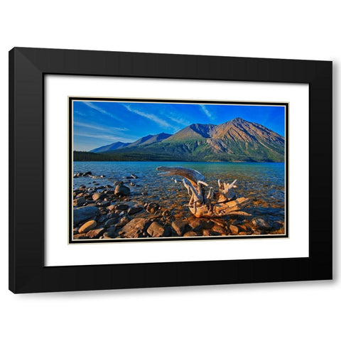 Canada-Yukon-Kluane National Park St Elias Mountains and driftwood on shore of Kathleen Lake Black Modern Wood Framed Art Print with Double Matting by Jaynes Gallery