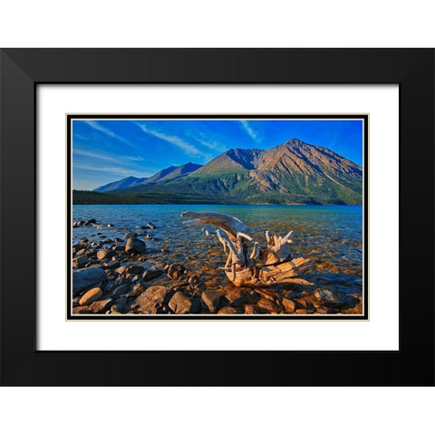 Canada-Yukon-Kluane National Park St Elias Mountains and driftwood on shore of Kathleen Lake Black Modern Wood Framed Art Print with Double Matting by Jaynes Gallery