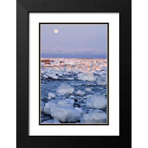 Canada, Hudson Bay Sunset and full moon rising Black Modern Wood Framed Art Print with Double Matting by Illg, Cathy and Gordon