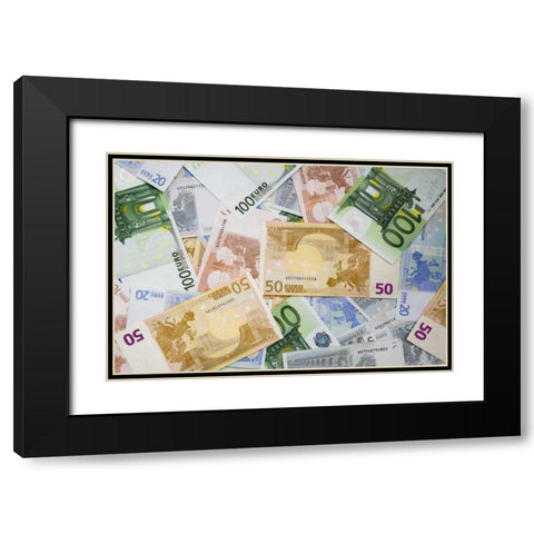 Montage of miscellaneous Euro currency Black Modern Wood Framed Art Print with Double Matting by Flaherty, Dennis