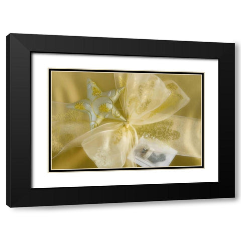 Detail of decorations on a Christmas gift Black Modern Wood Framed Art Print with Double Matting by Paulson, Don