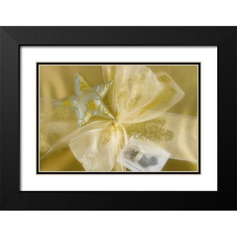 Detail of decorations on a Christmas gift Black Modern Wood Framed Art Print with Double Matting by Paulson, Don
