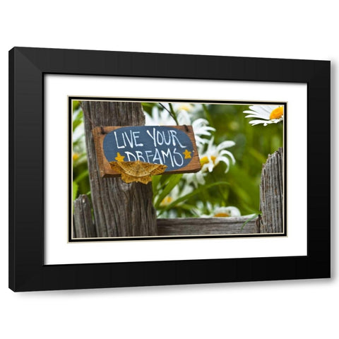 Moth on garden sign with daisies in background Black Modern Wood Framed Art Print with Double Matting by Rotenberg, Nancy