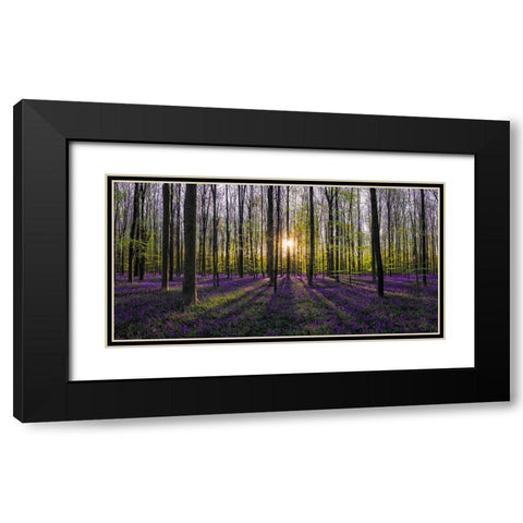 Europe-Belgium-Sunrise on Hallerbos forest with blooming bluebells Black Modern Wood Framed Art Print with Double Matting by Jaynes Gallery