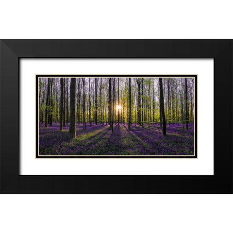 Europe-Belgium-Sunrise on Hallerbos forest with blooming bluebells Black Modern Wood Framed Art Print with Double Matting by Jaynes Gallery