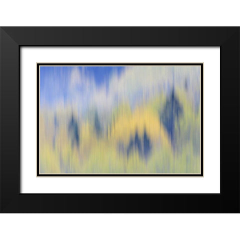 Finland, Nuuksio NP Abstract of fall color trees Black Modern Wood Framed Art Print with Double Matting by Morris, Arthur