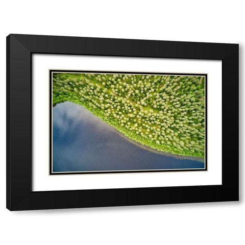 Finlandia-Savonlinna-aerial view-forest and lake Black Modern Wood Framed Art Print with Double Matting by Molinari, Michele