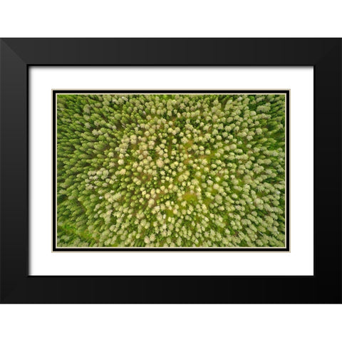 Finlandia-Savonlinna-aerial view Black Modern Wood Framed Art Print with Double Matting by Molinari, Michele