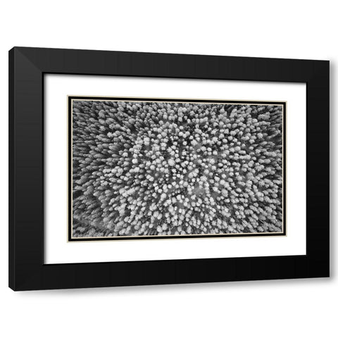 Finlandia-Savonlinna-aerial view Black Modern Wood Framed Art Print with Double Matting by Molinari, Michele