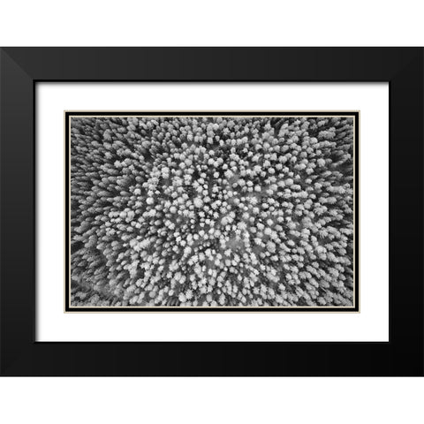 Finlandia-Savonlinna-aerial view Black Modern Wood Framed Art Print with Double Matting by Molinari, Michele