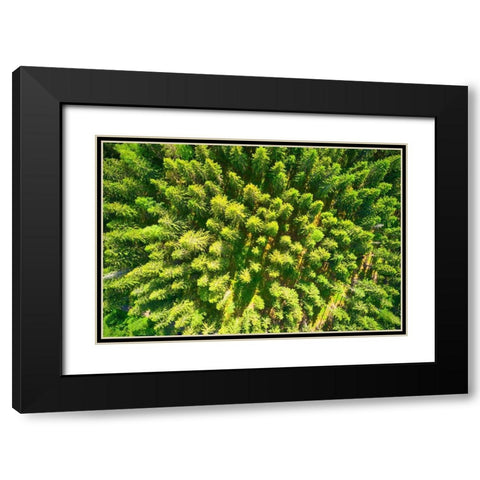 Finlandia-Savonlinna-aerial view Black Modern Wood Framed Art Print with Double Matting by Molinari, Michele