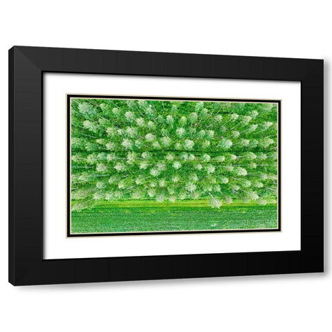 Finlandia-Savonlinna-forest Black Modern Wood Framed Art Print with Double Matting by Molinari, Michele